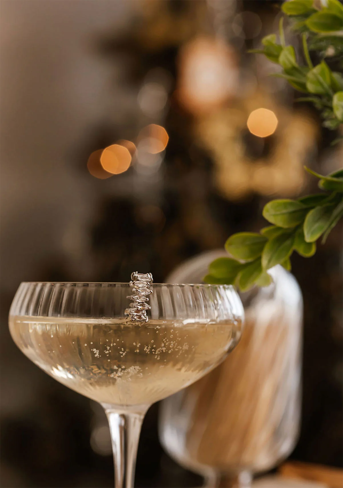 8 oz. Coupe Glass - Image 3